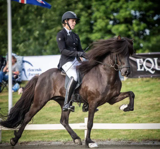 Sommermasterclass med Sys og Siggi!